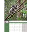 Calendario A3 Koala 2025