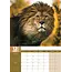 Calendario A3 Lions 2025