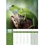 Lizards A3 Calendar 2025