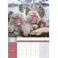 Calendrier A3 Monkeys 2025