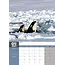 Orcas A3 Calendar 2025