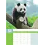 Calendario A3 Pandas 2025