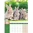 Kaninchen A3 Kalender 2025