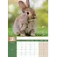 Kaninchen A3 Kalender 2025