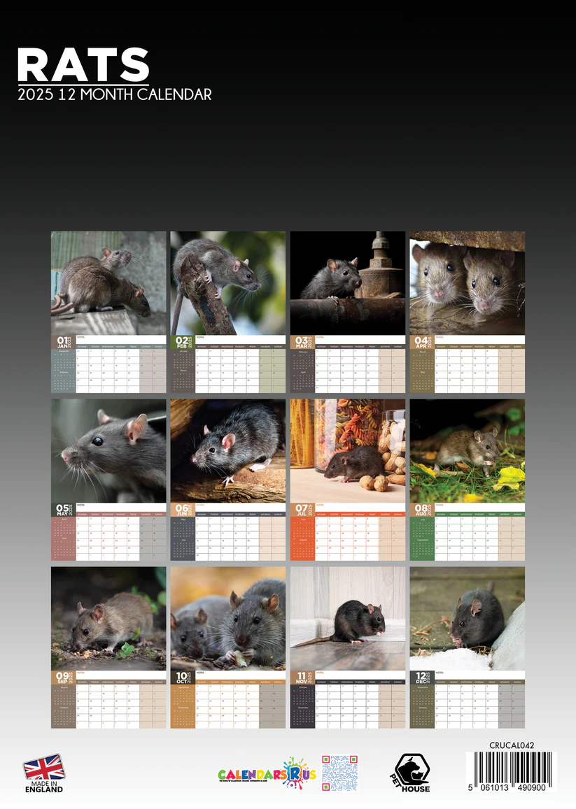 Rats A3 Calendar 2025 Order easily and quickly Online.