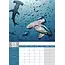 Sharks A3 Calendar 2025