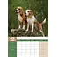 Beagle A3 Calendar 2025