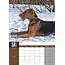 Airedale Terrier A3 Calendar 2025