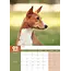 Basenji A3 Kalender 2025