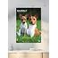 Basenji A3 Kalender 2025