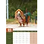 Basset Hound A3 Kalender 2025