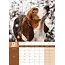 Basset Hound A3 Kalender 2025