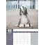 Bearded Collie A3 Kalender 2025