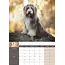 Bearded Collie A3 Kalender 2025