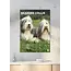 Bearded Collie A3 Kalender 2025