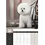 Bichon Frise Calendario A3 2025