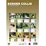 Border Collie A3 Calendar 2025