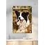 Border Collie A3 Calendar 2025