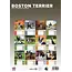 Boston Terrier A3 Calendar 2025