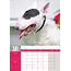 Bull Terrier A3 Kalender 2025