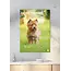 Cairn Terrier A3 Kalender 2025