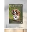 Cavalier King Charles Spaniel A3 Kalender 2025