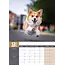 Calendario A3 Welsh Corgi 2025