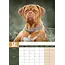 Bordeaux Hund A3 Kalender 2025