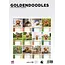 Calendario A3 Goldendoodle 2025