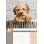 Calendario A3 Goldendoodle 2025