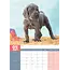 Duitse Dog A3 Kalender 2025