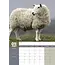 Mouton Calendrier A3 2025