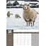 Mouton Calendrier A3 2025