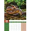 Snakes A3 Calendar 2025