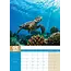 Turtles A3 Calendar 2025