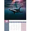 Baleines Calendrier A3 2025