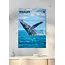 Baleines Calendrier A3 2025