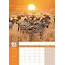 Wildlife A3 Calendar 2025