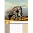 Wildlife A3 Kalender 2025