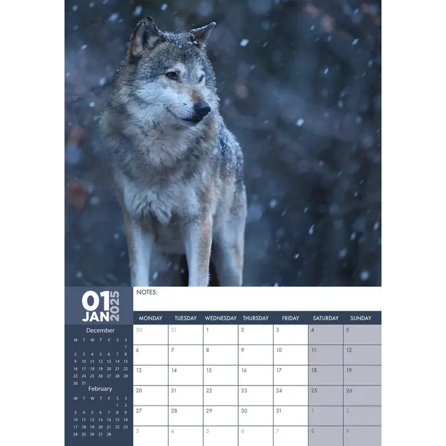 Calendario Lobos A3 2025 Haz tu pedido fácil y rápidamente Online