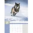 Calendrier A3 des loups 2025