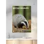 British Wildlife A3 Calendar 2025