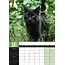 Black Cats A3 Calendar 2025