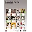 Calico Cats Calendario A3 2025