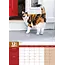 Calico Cats Calendario A3 2025