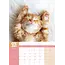 Cat Naps A3 Kalendar 2025