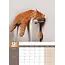 Cat Naps A3 Kalendar 2025