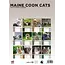 Maine Coon Calendar 2025