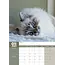 Calendrier Ragdoll 2025