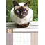 Calendario siamese 2025